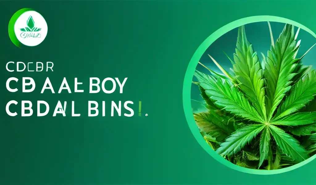 cbd капсулы купить