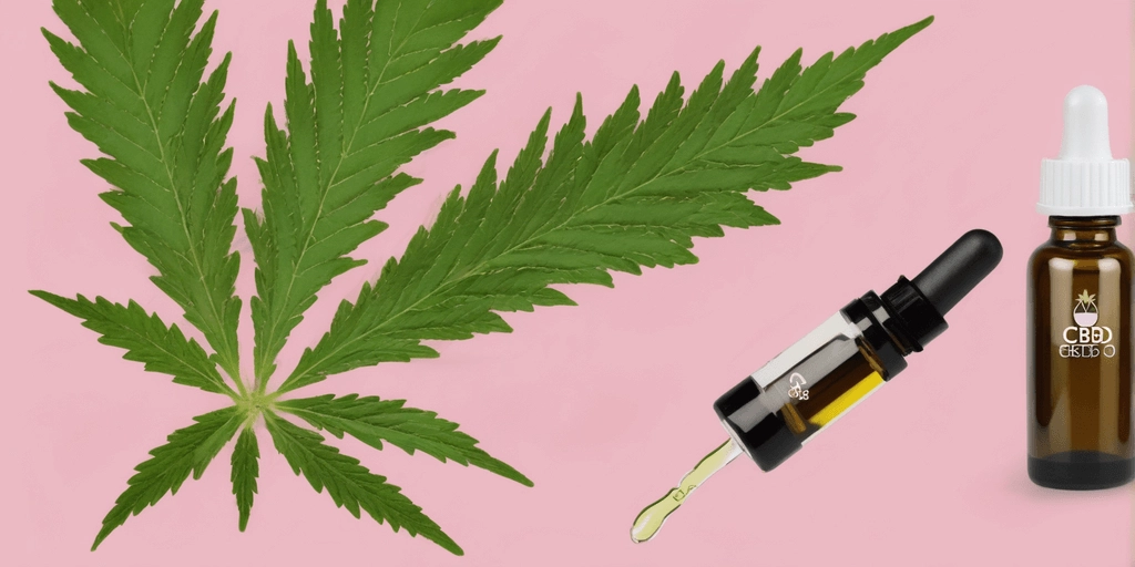 КБД это что