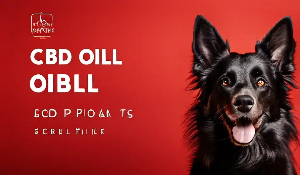 масло cbd для собак