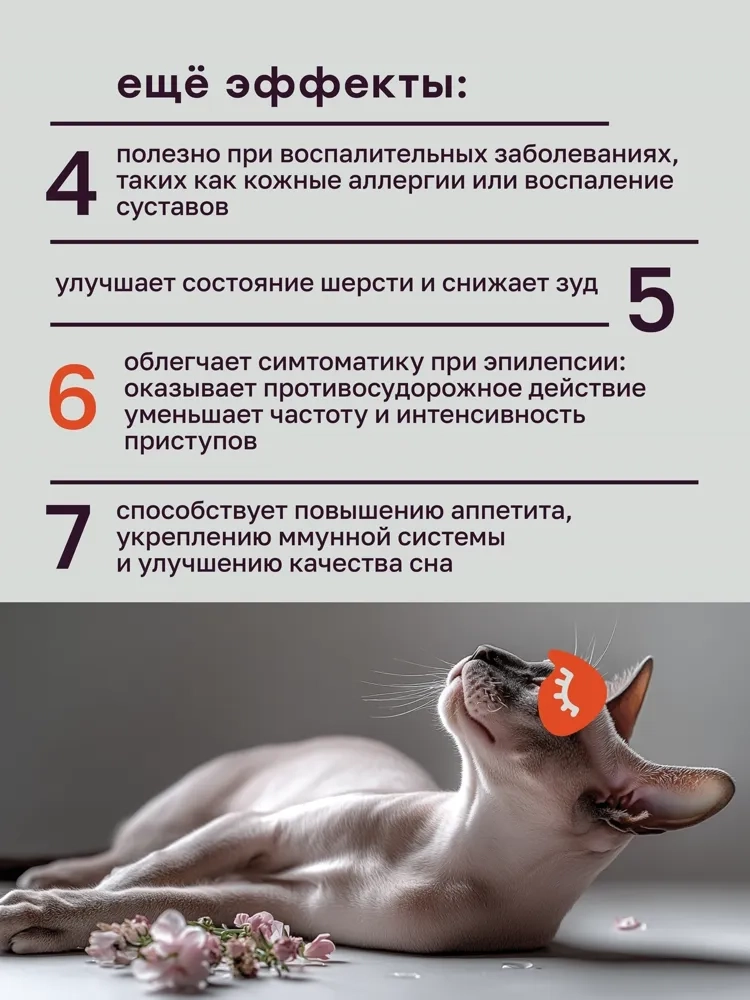 Масло CBD для животных 600мг 2% 30мл MotherPlant